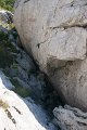DSC06523